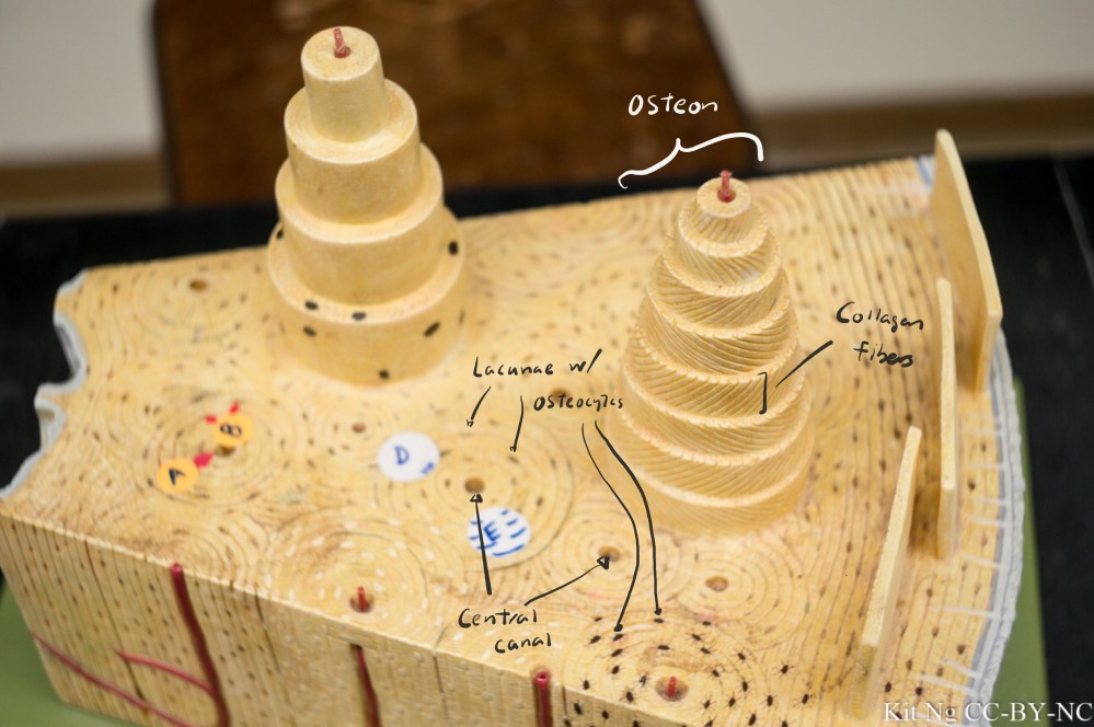 File Sep 15, 10 28 07 PM copy.jpg