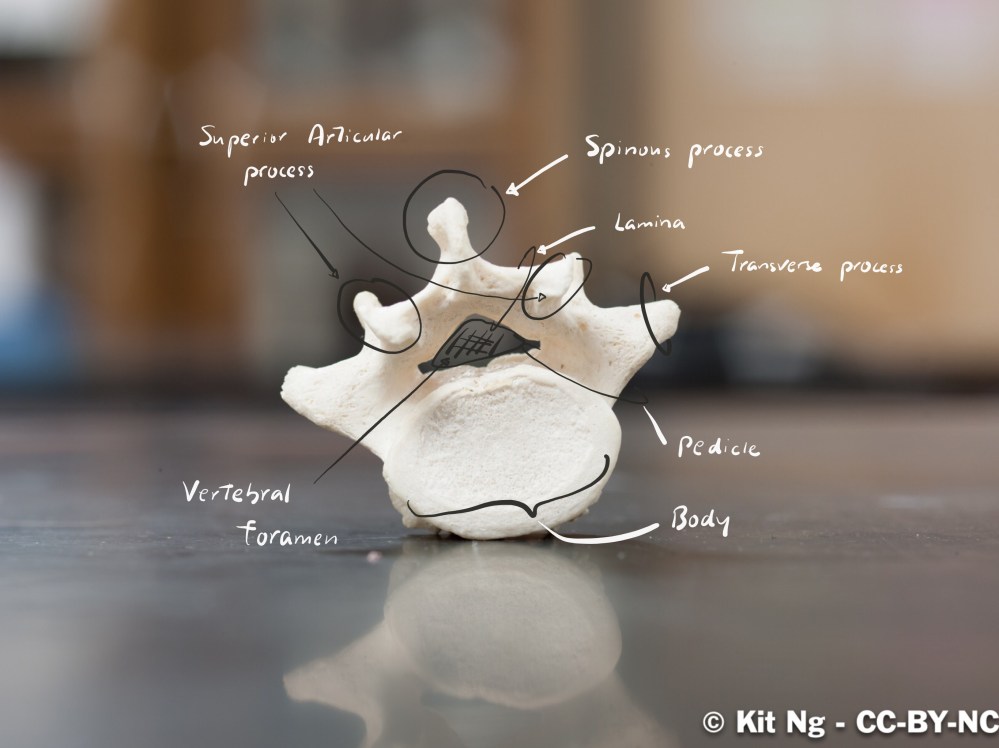 File Sep 15, 10 28 42 PM copy.jpg