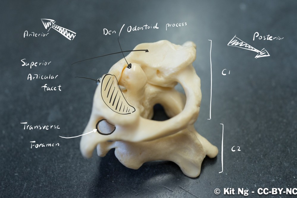 File Sep 15, 10 29 03 PM copy.jpg