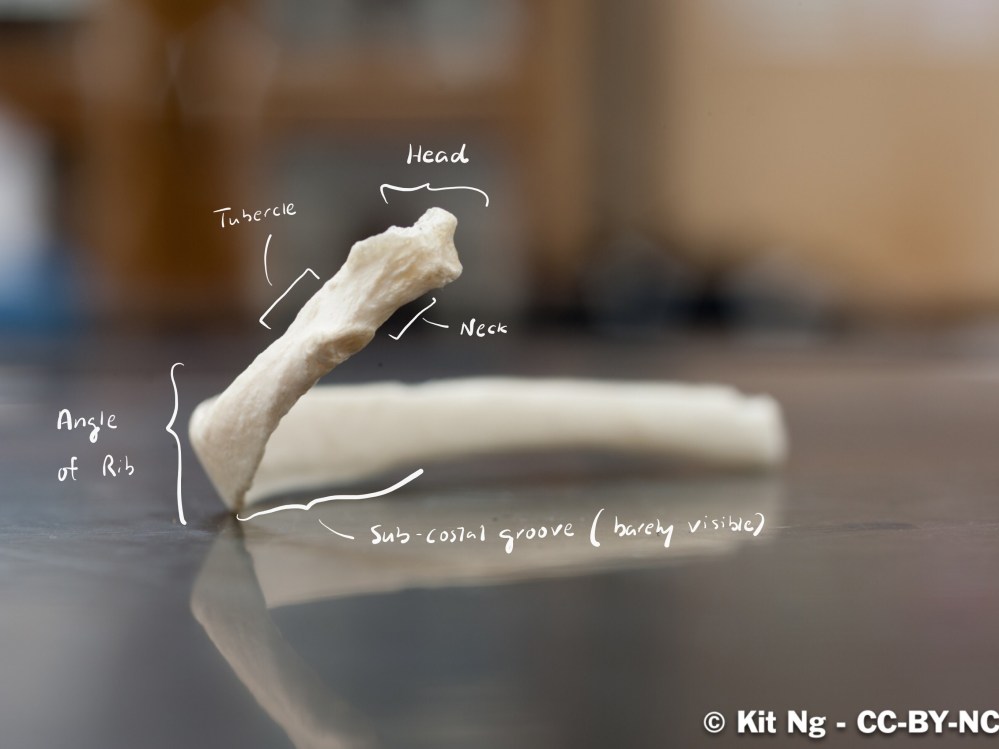 File Sep 15, 10 29 23 PM copy.jpg