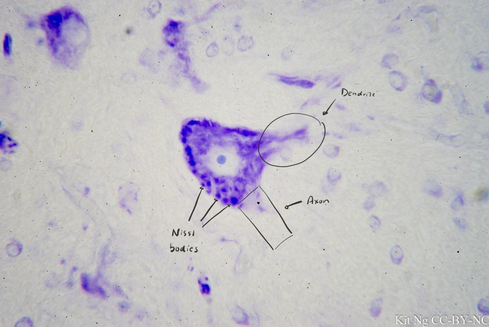 File Sep 15, 10 29 38 PM copy.jpg