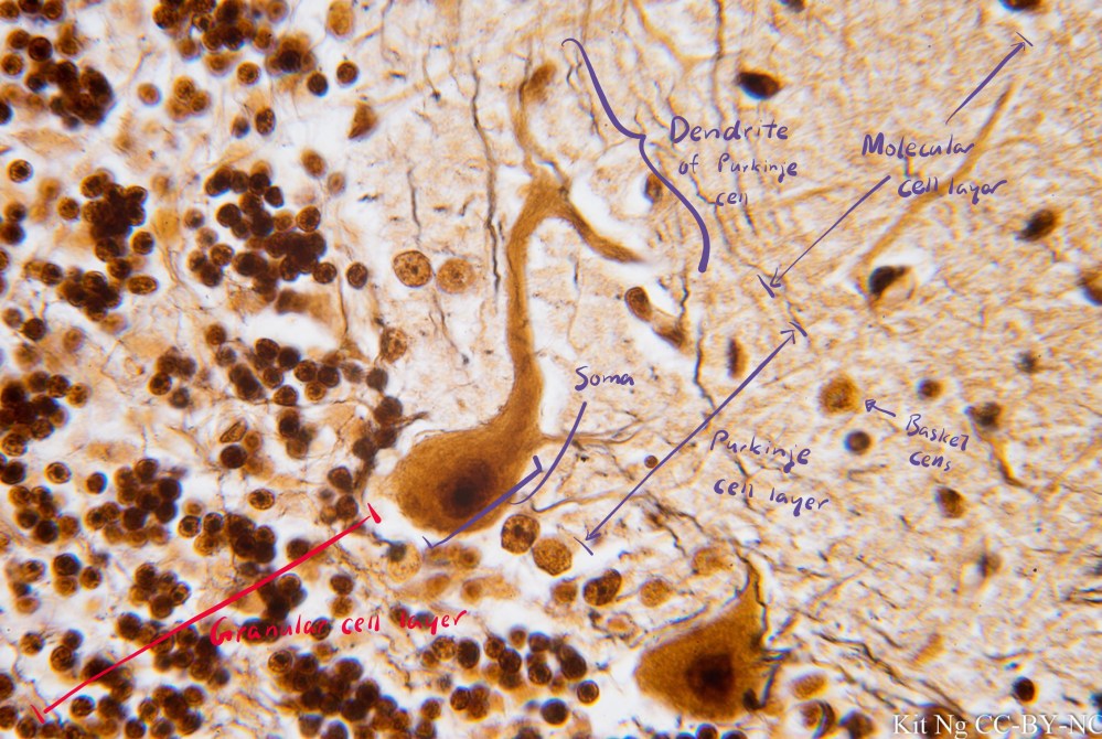 File Sep 15, 10 30 04 PM copy.jpg