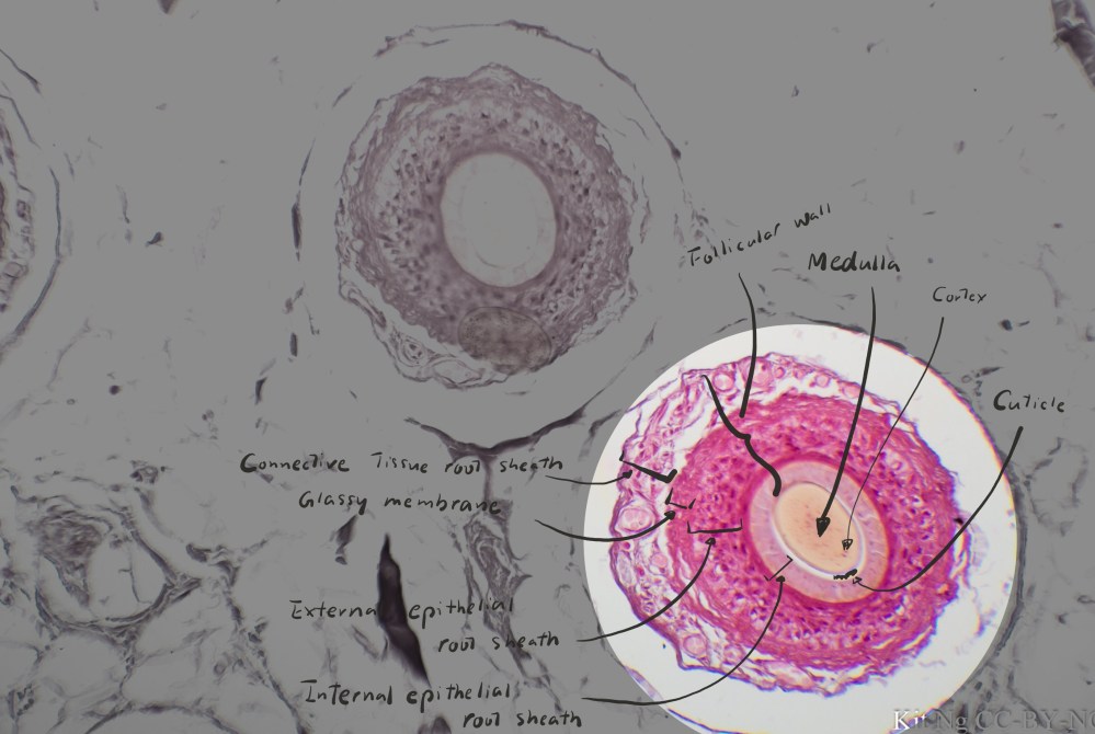 File Sep 15, 10 30 36 PM copy.jpg