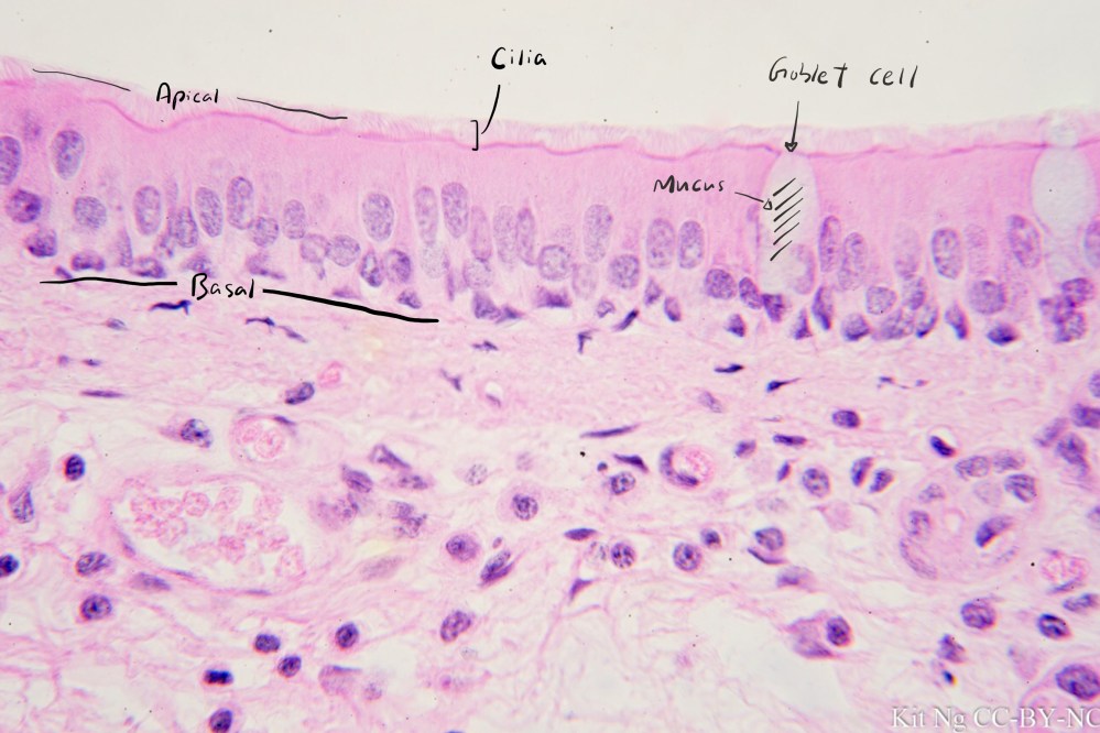 File Sep 15, 10 31 31 PM copy.jpg