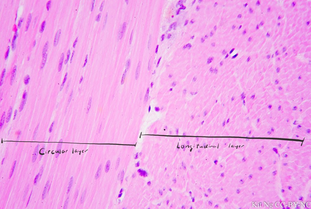 File Sep 15, 10 31 53 PM copy.jpg