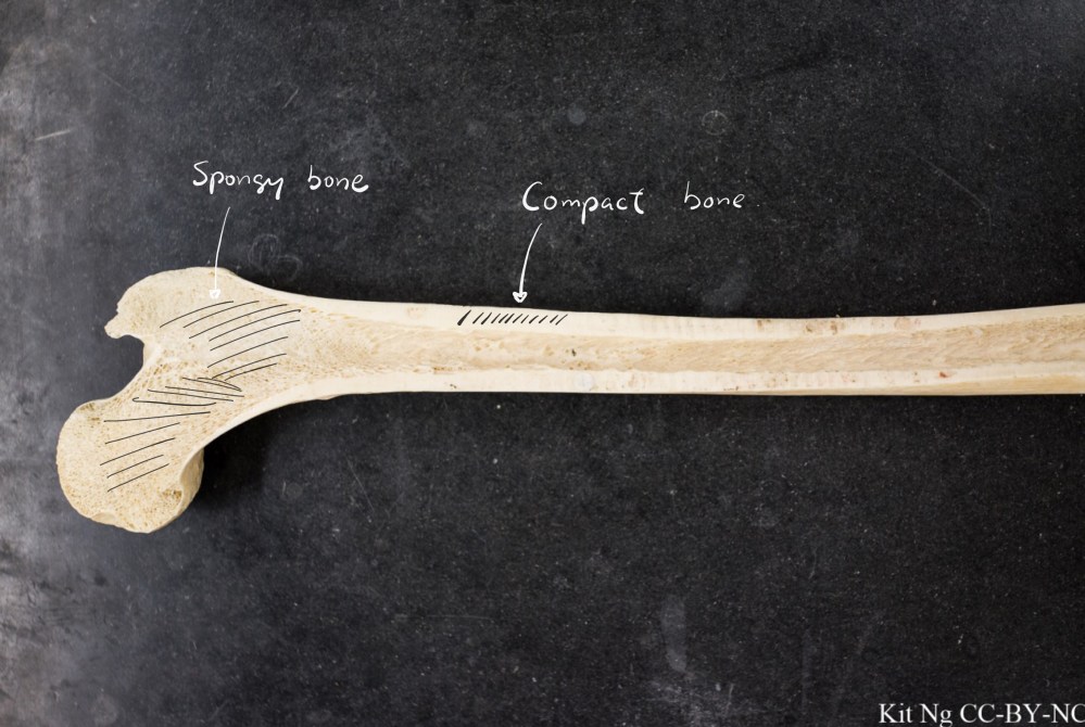 File Sep 15, 10 32 18 PM copy.jpg