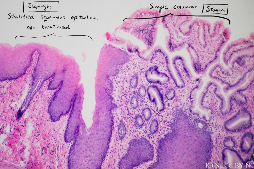 File Sep 15, 10 32 47 PM copy.jpg