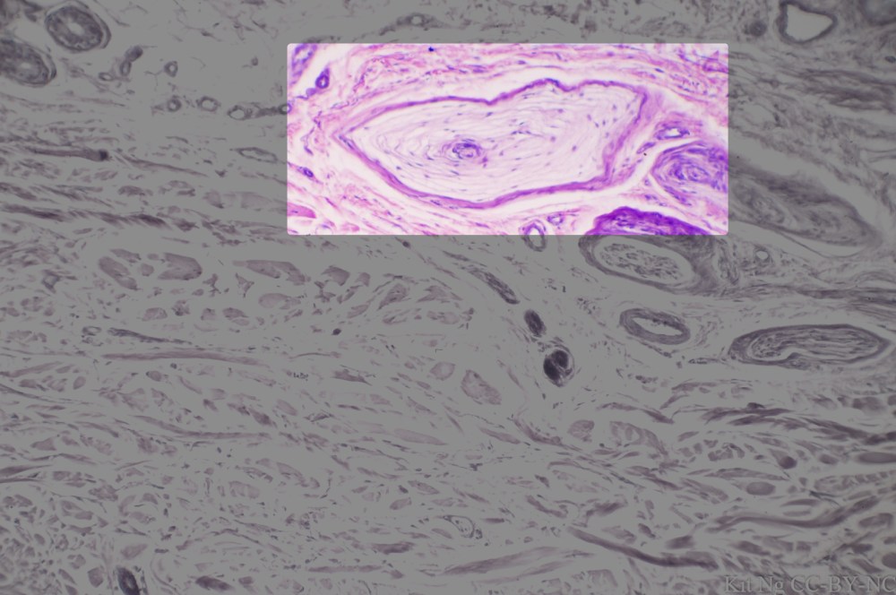 File Sep 15, 10 33 13 PM copy.jpg