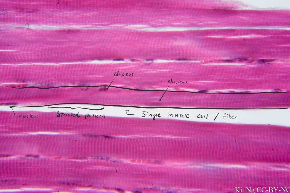 File Sep 15, 10 33 34 PM copy.jpg