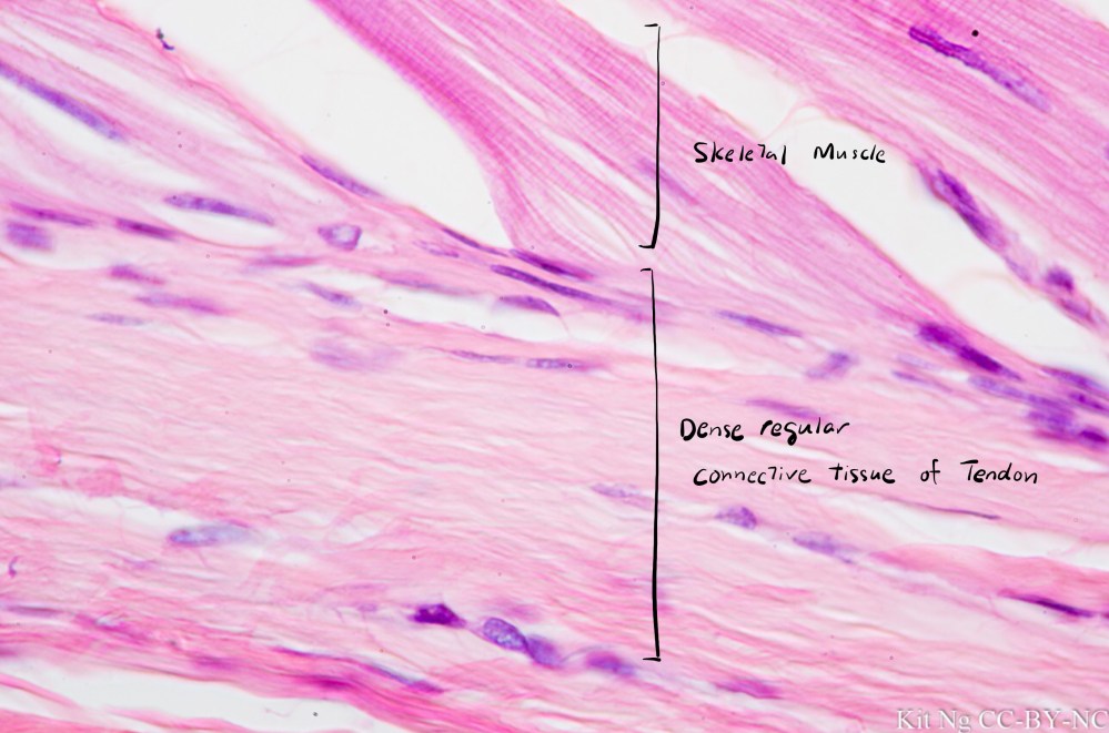 File Sep 15, 10 34 01 PM copy.jpg