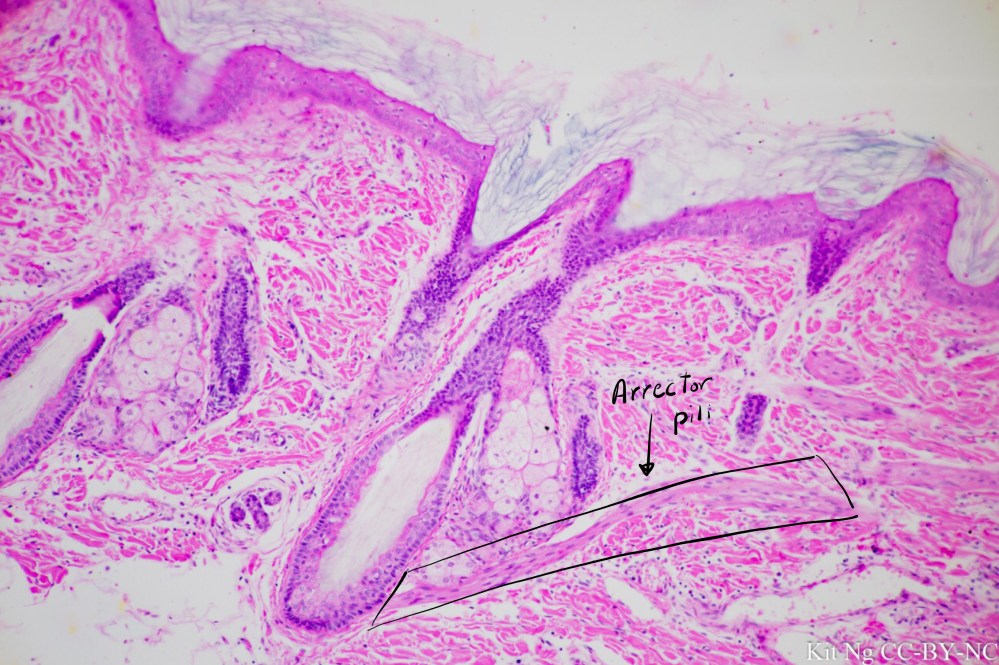 File Sep 15, 10 34 24 PM copy.jpg