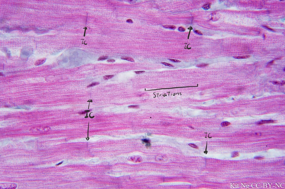 File Sep 15, 10 34 52 PM copy.jpg