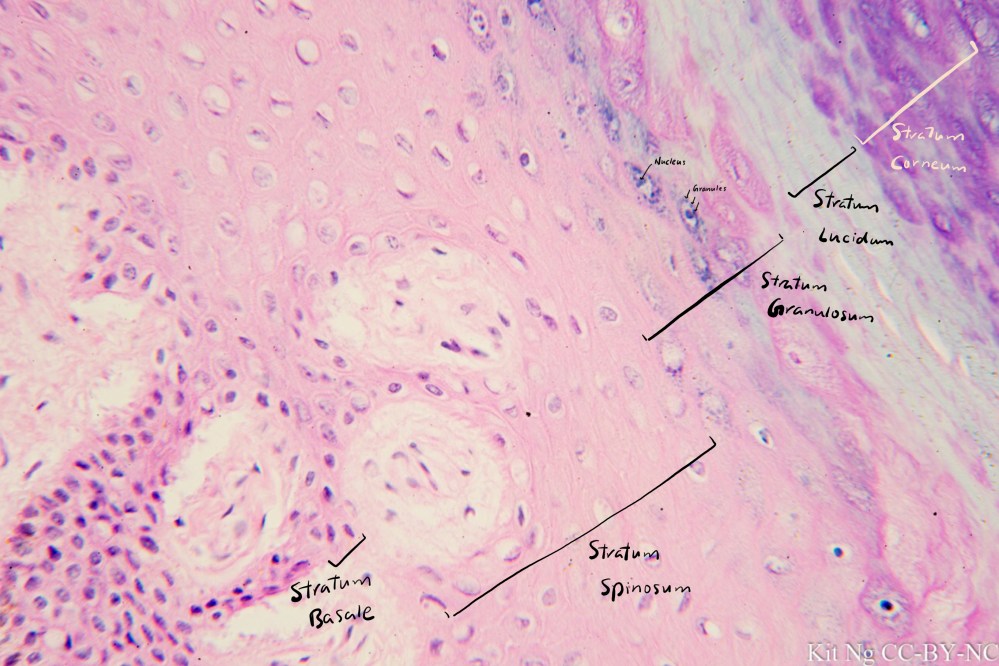 File Sep 15, 10 35 26 PM copy.jpg