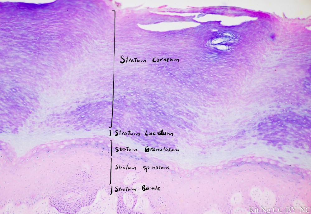 File Sep 15, 10 35 58 PM copy.jpg