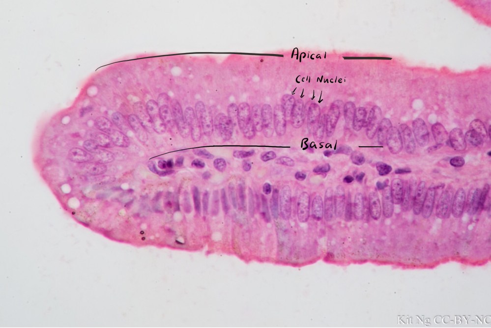 File Sep 15, 10 36 41 PM copy.jpg