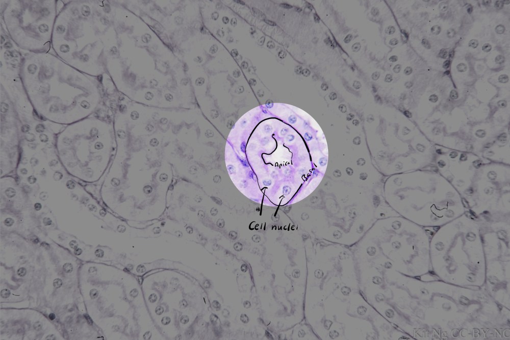 File Sep 15, 10 37 14 PM copy.jpg