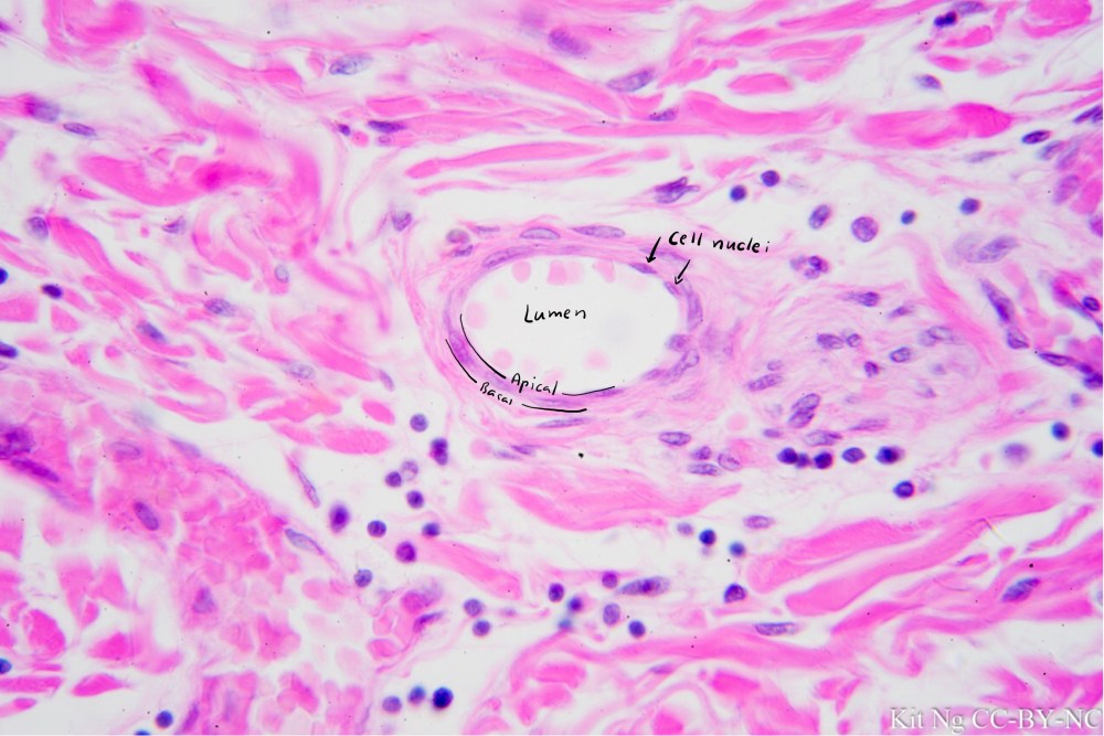 file-sep-15-10-37-52-pm-copy