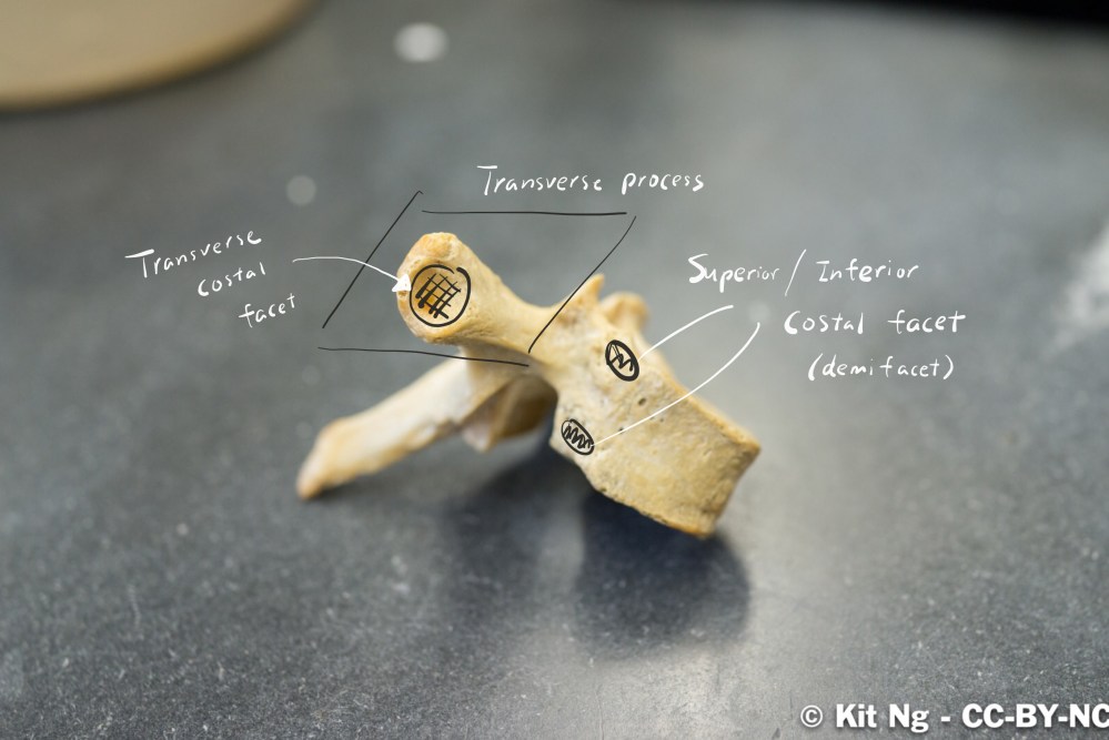 File Sep 16, 9 12 28 PM.jpg