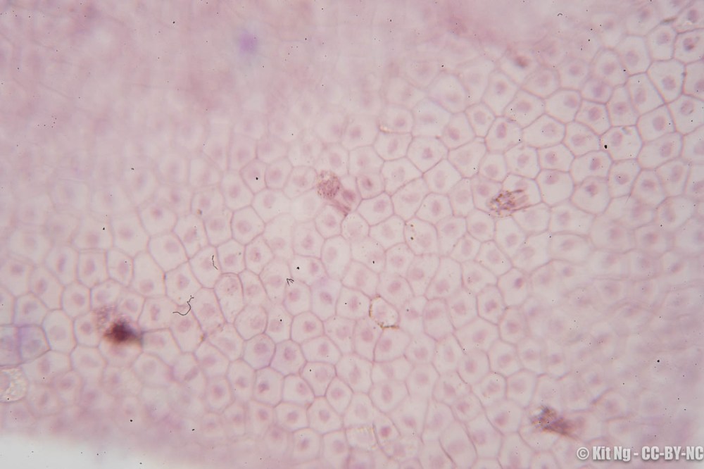 20170305_untitled_DSC7395