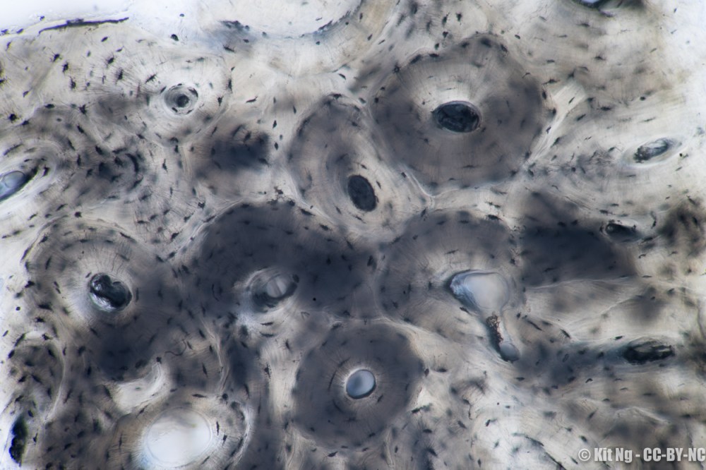 20170305_untitled_DSC7396