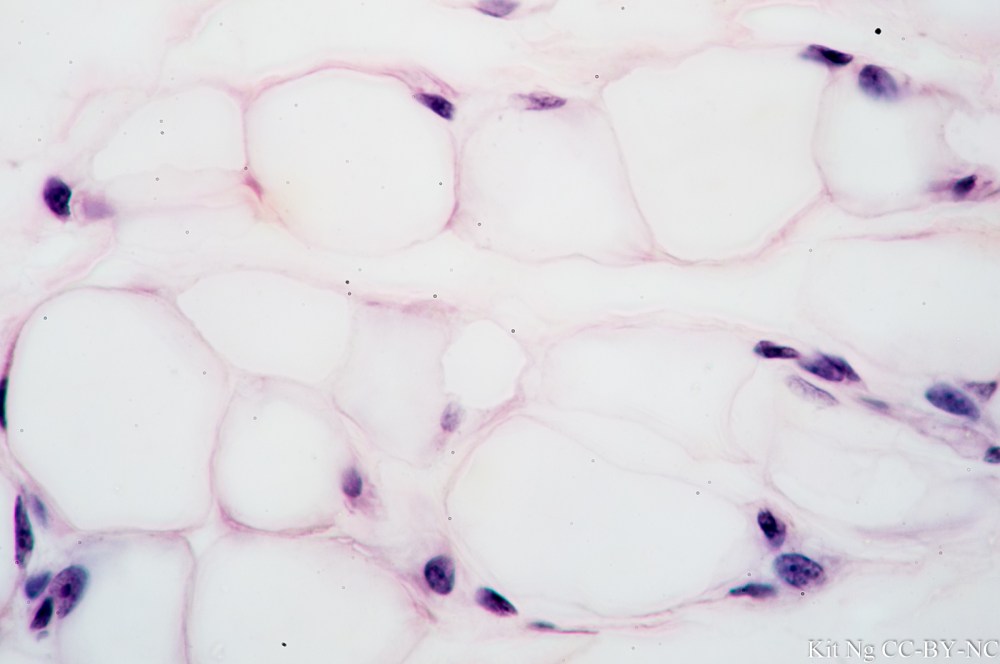 untitled shoot-2971.jpg