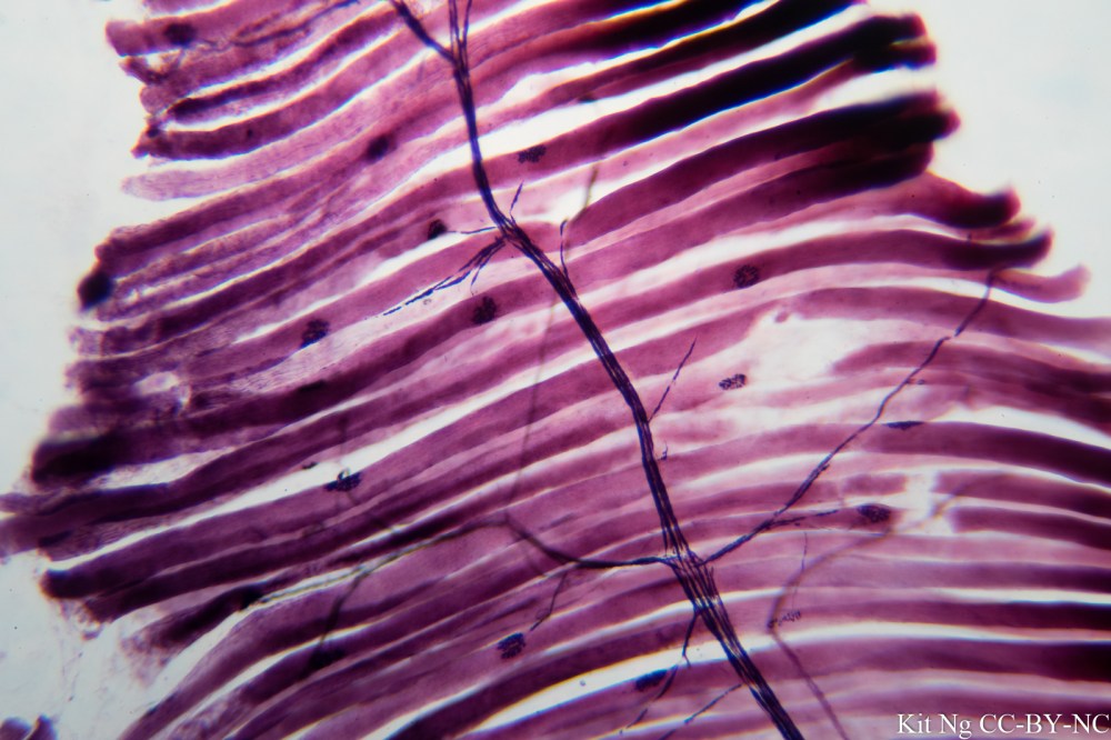 untitled shoot-3261.jpg