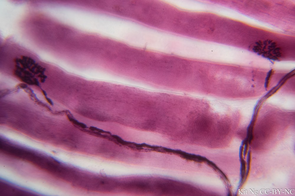 untitled shoot-3262.jpg