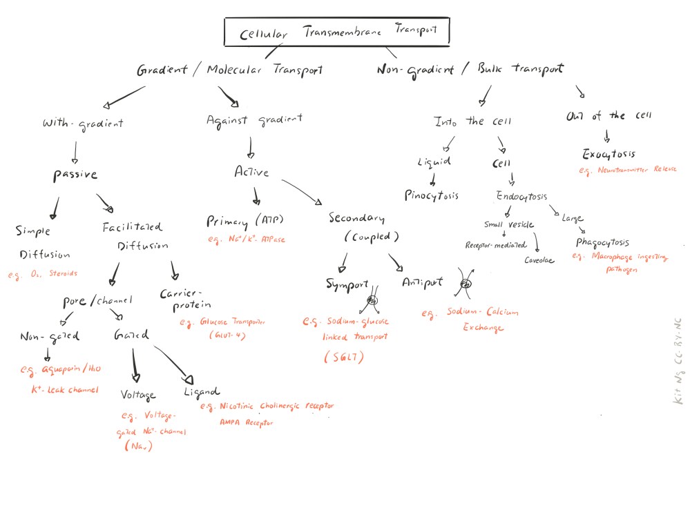 File Sep 16, 10 34 53 PM.jpg