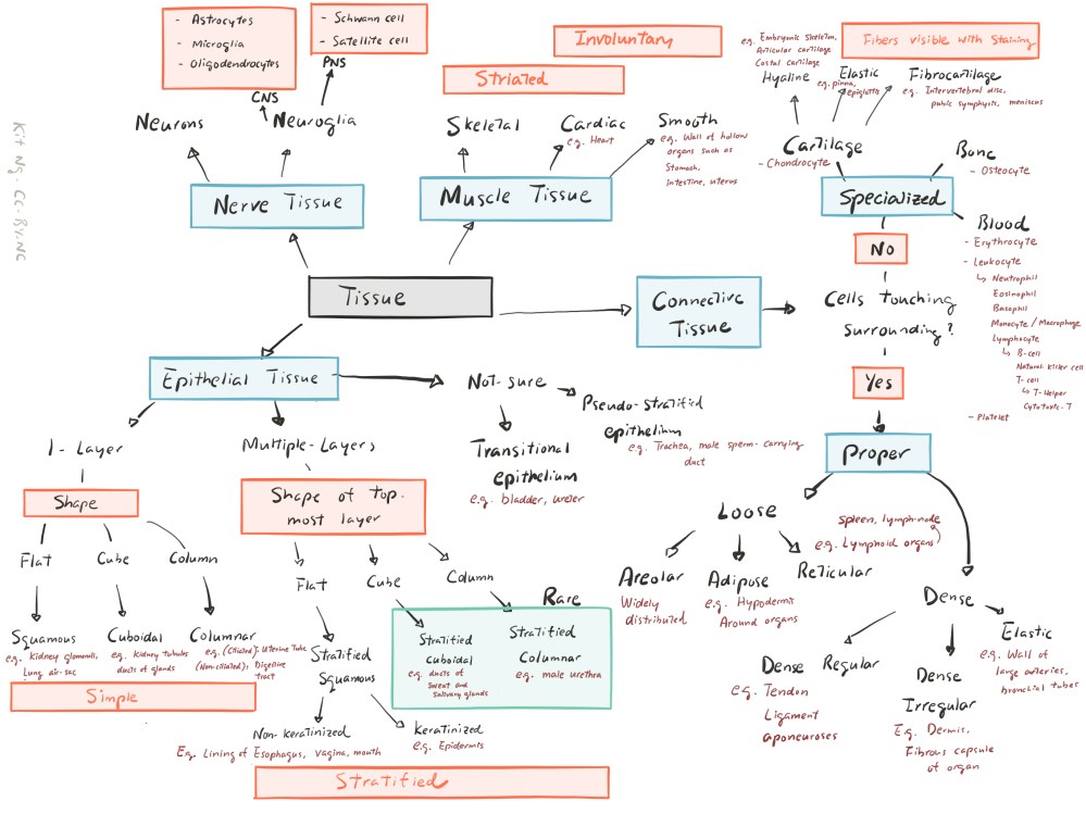 File Sep 16, 10 35 04 PM copy.jpg