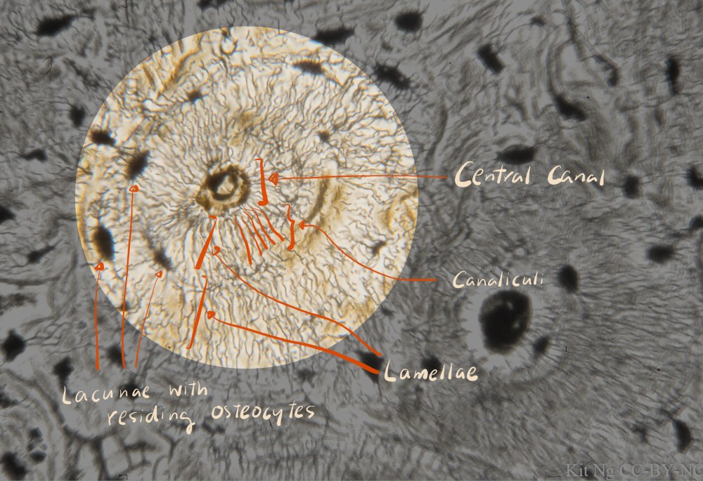 file-sep-16-9-09-43-pm