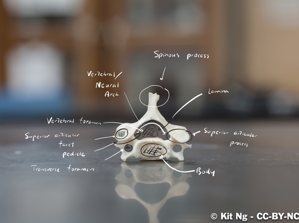 File Sep 16, 9 10 51 PM.jpg