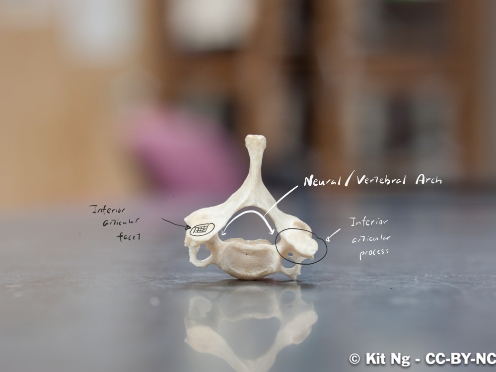 File Sep 16, 9 11 15 PM.jpg