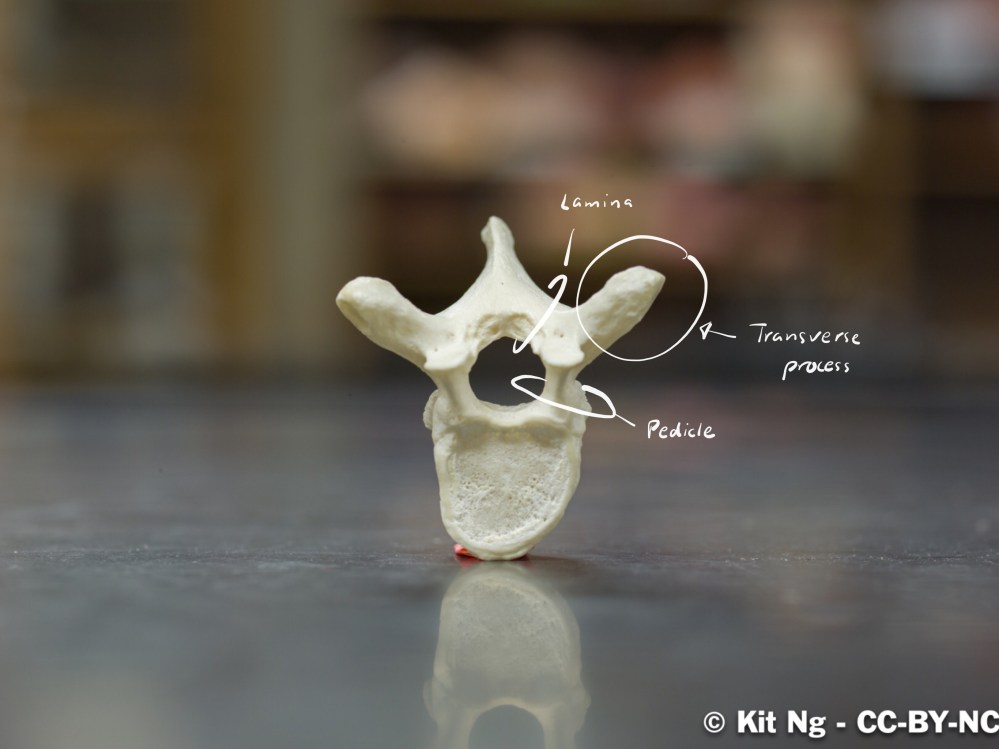 File Sep 16, 9 11 40 PM.jpg