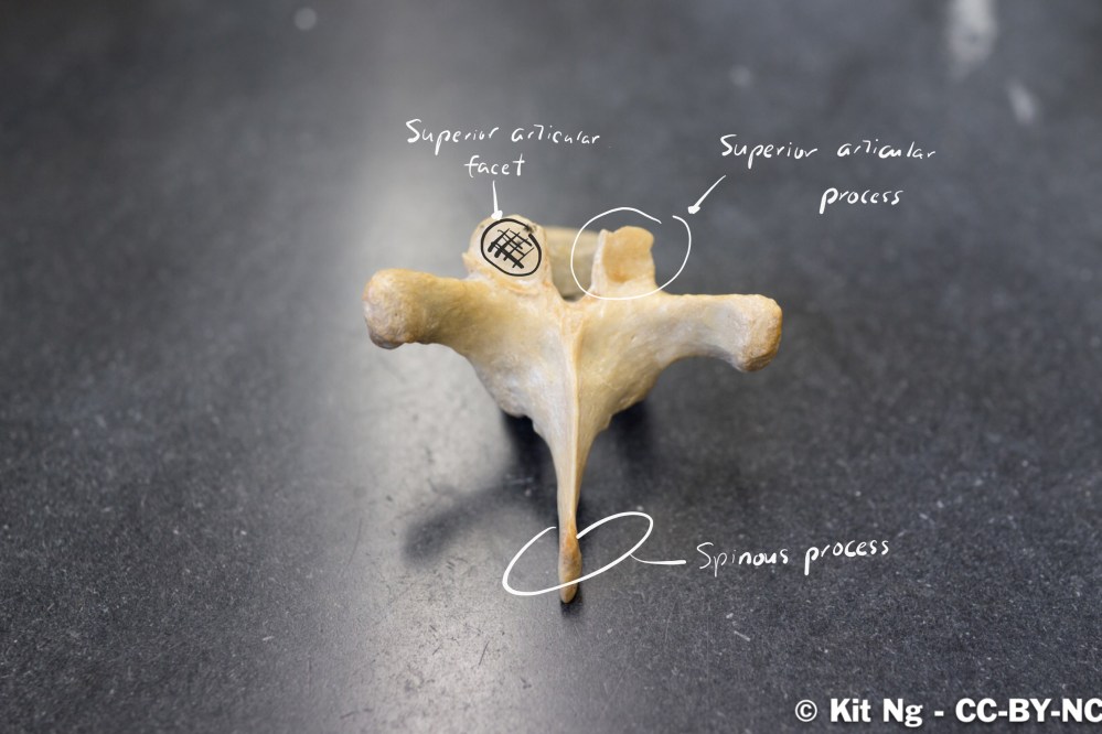 File Sep 16, 9 12 02 PM.jpg