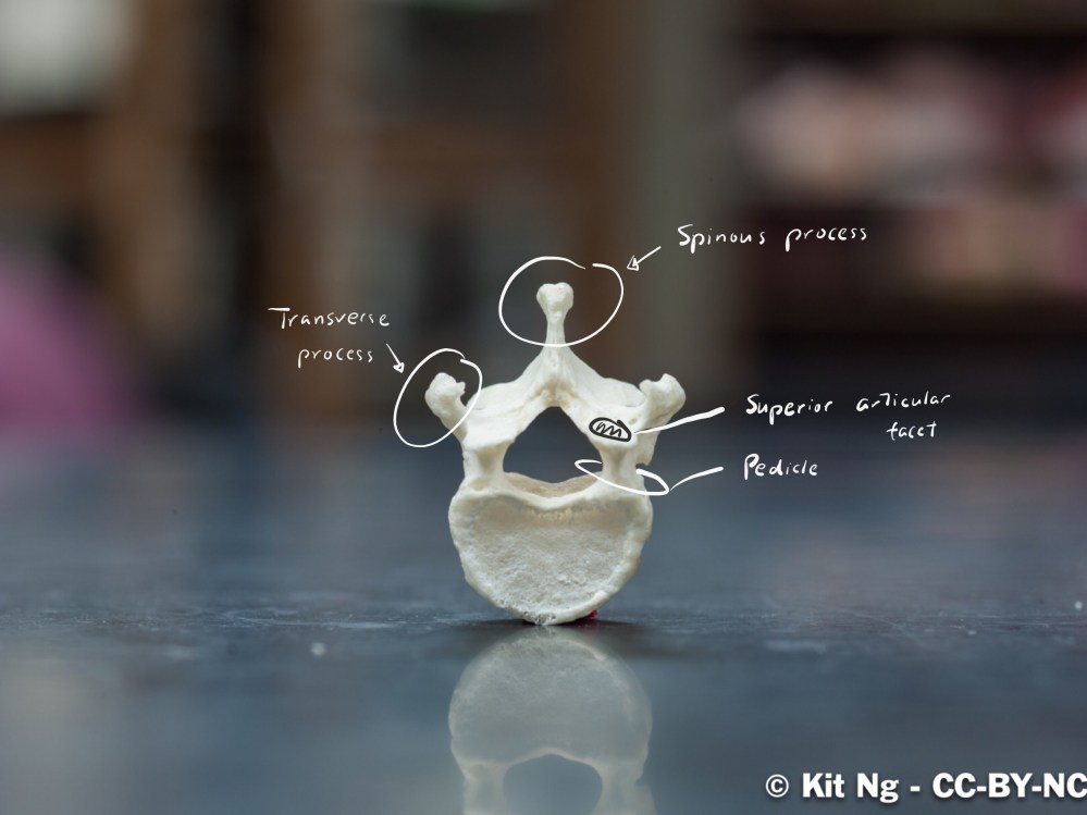 File Sep 16, 9 12 46 PM.jpg