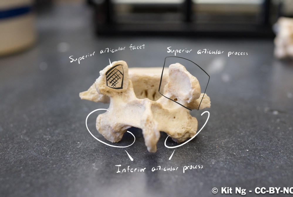 File Sep 16, 9 13 37 PM copy.jpg