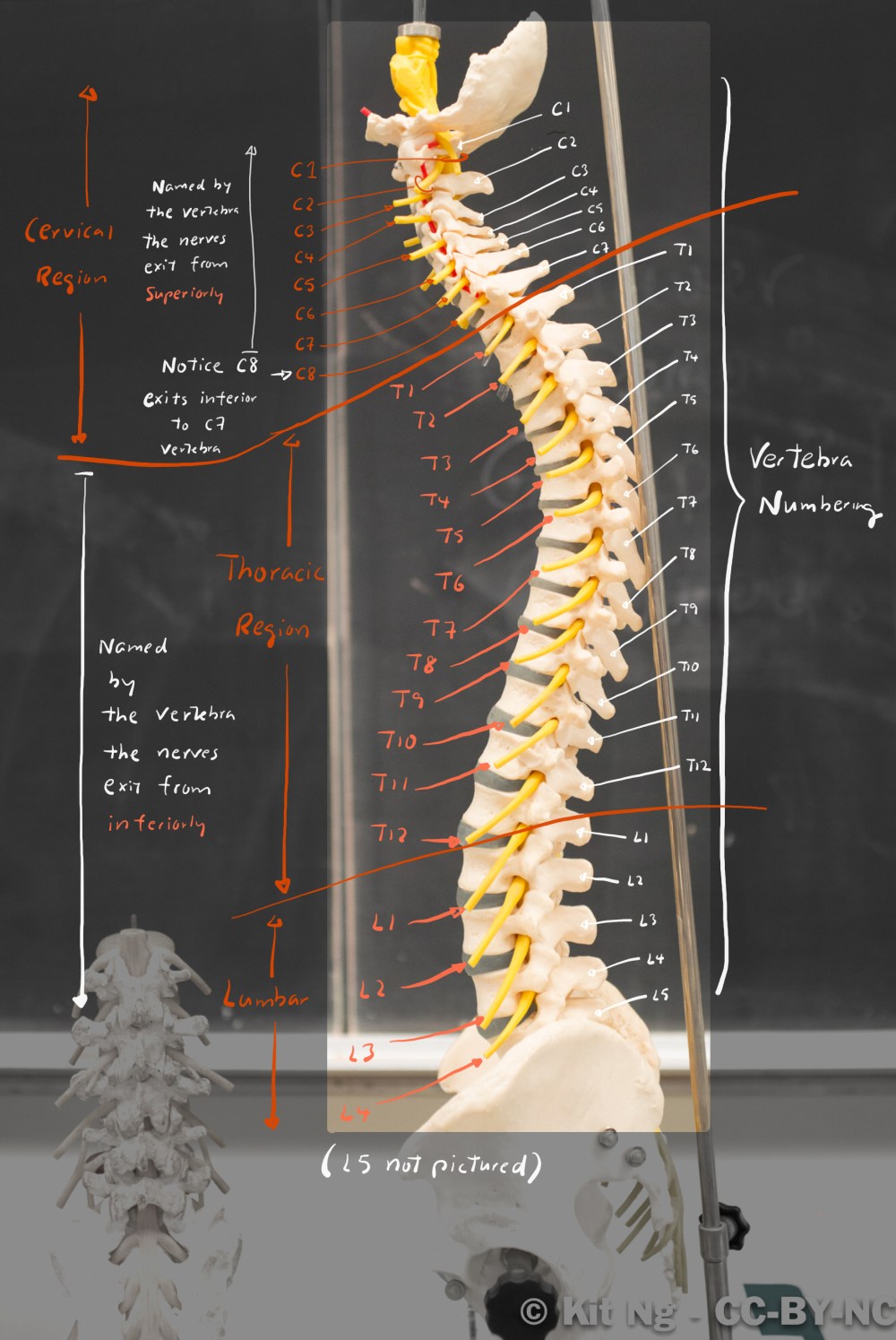 File Sep 17, 2 26 52 AM.jpg