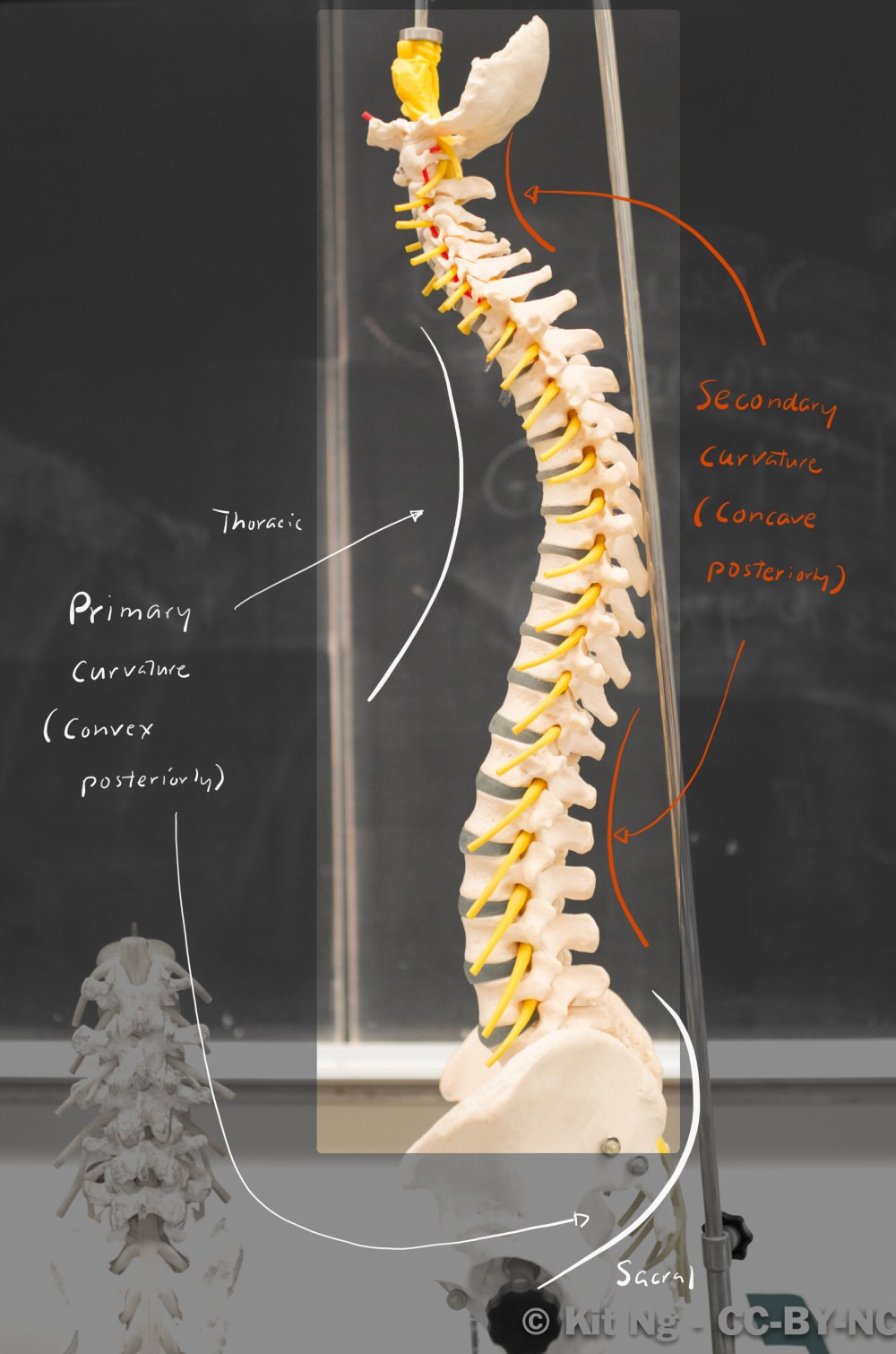 File Sep 17, 2 27 14 AM.jpg