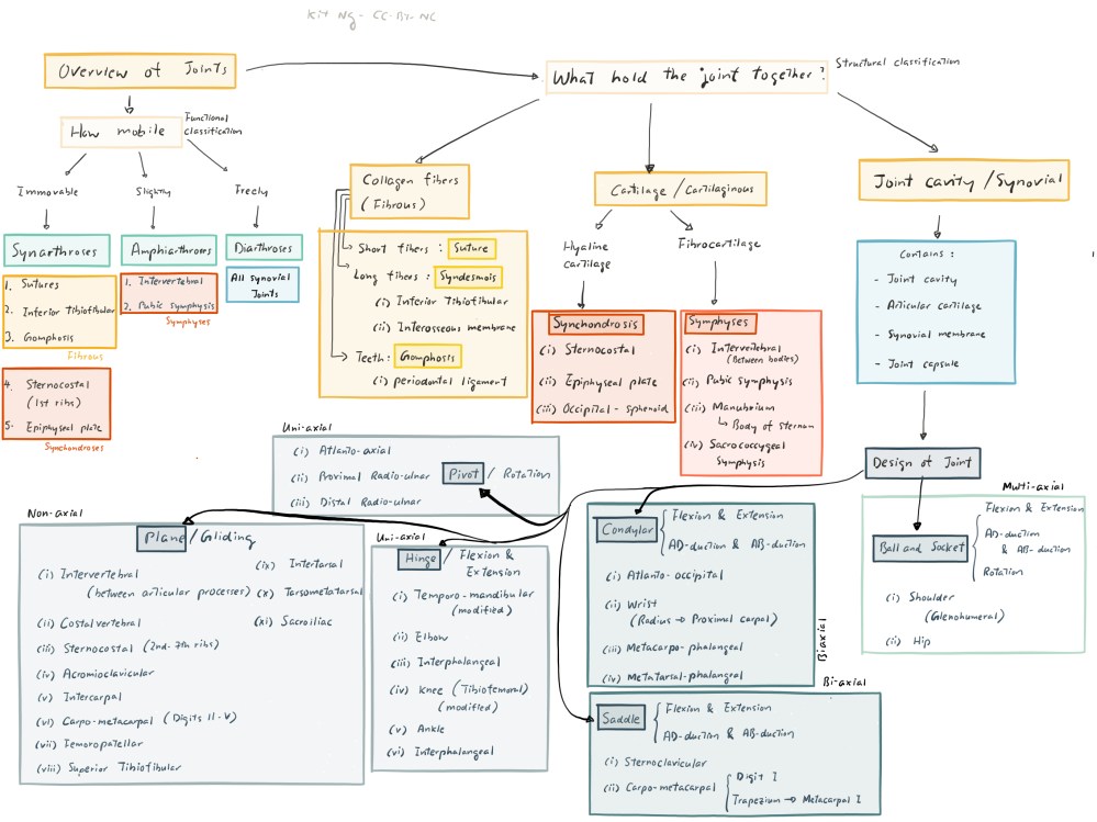 File Oct 02, 10 48 12 AM copy.jpg