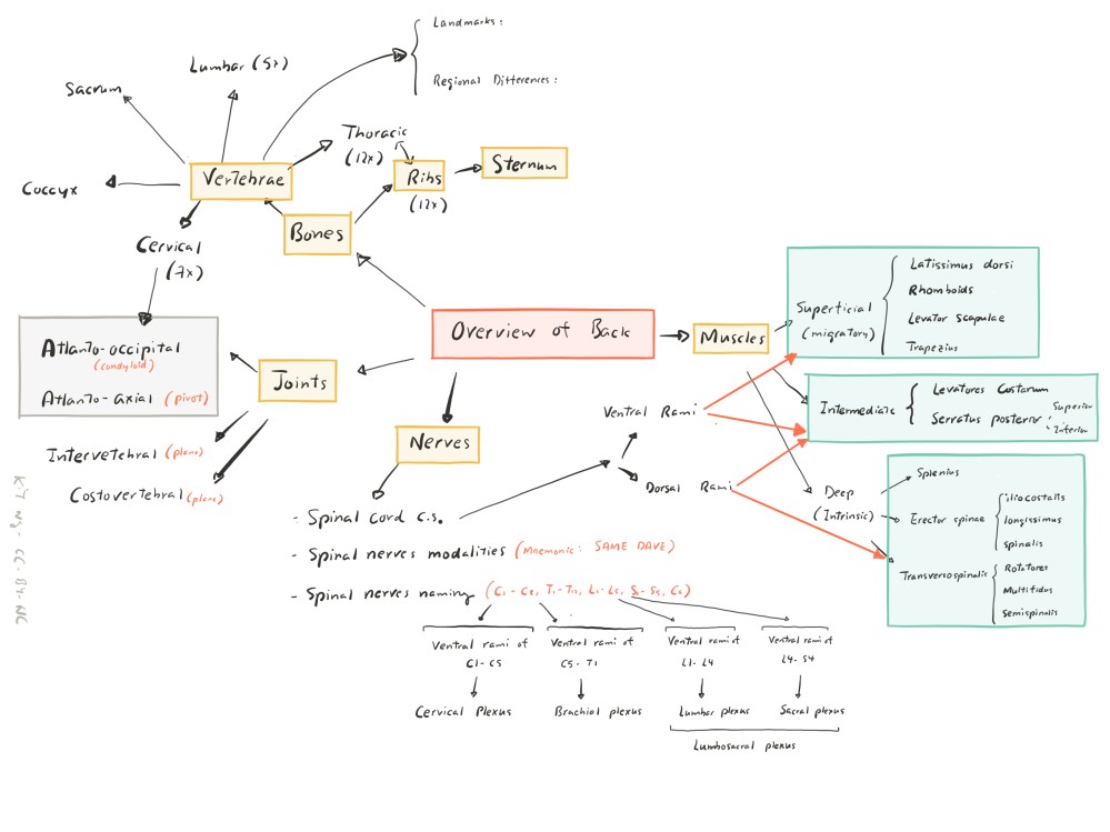 File Oct 02, 10 55 56 AM.jpg