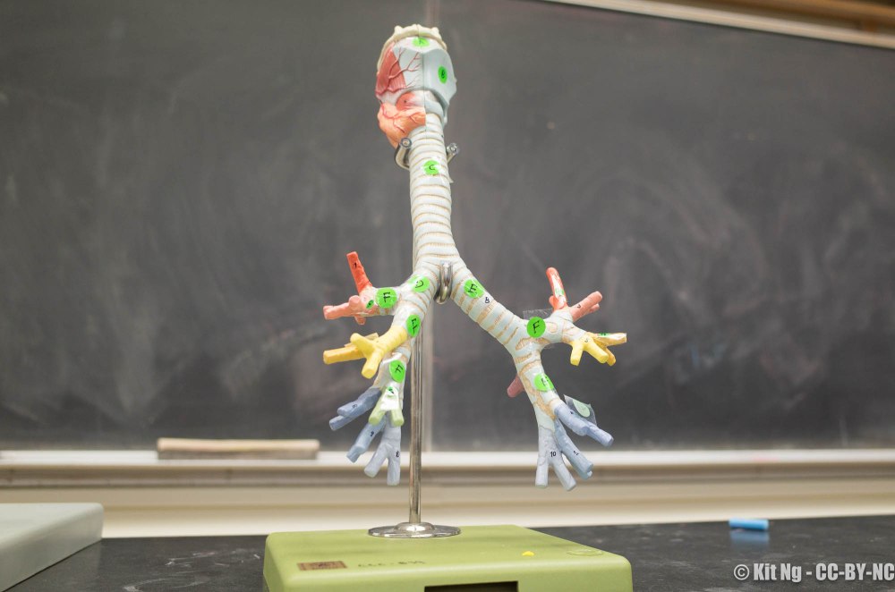 20161121_classroom_r040070