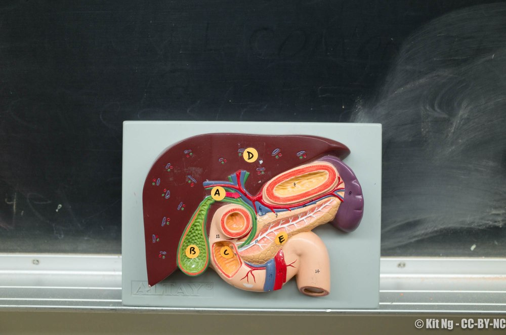 20161207_classroom_r040227