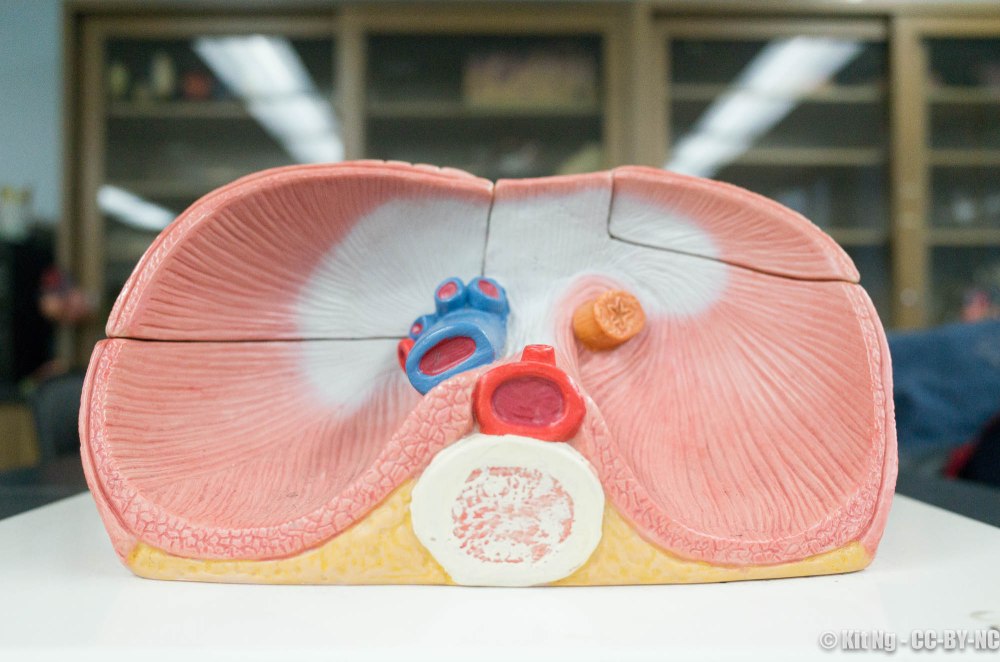 20161209_classroom_r040269