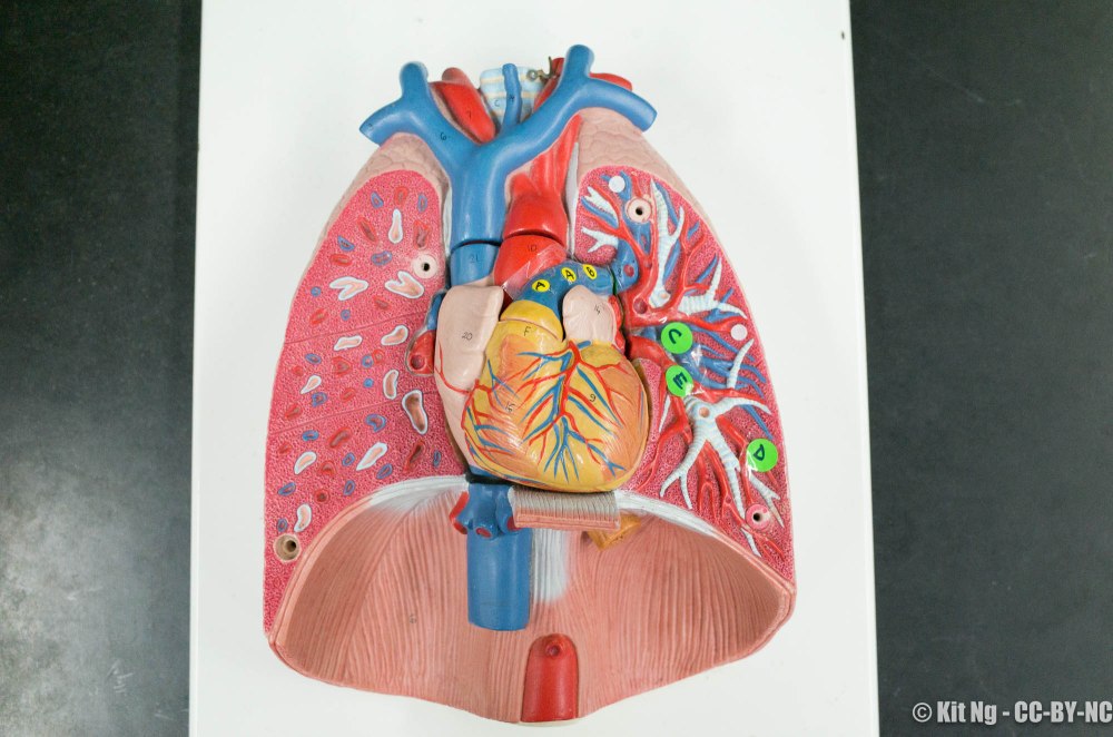 20161209_classroom_r040270