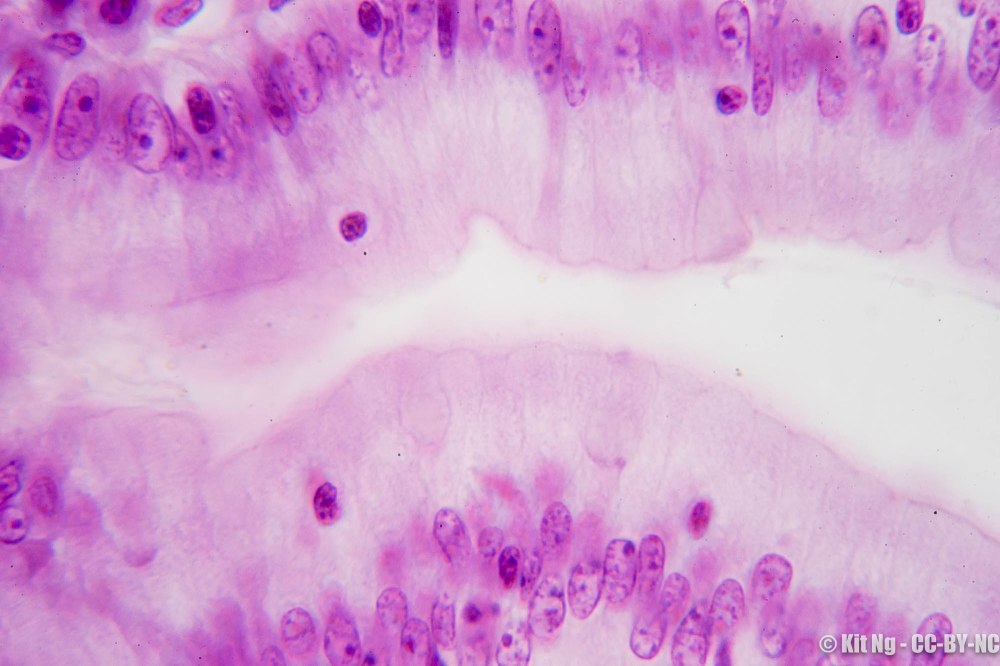 20170211_untitled_dsc6907