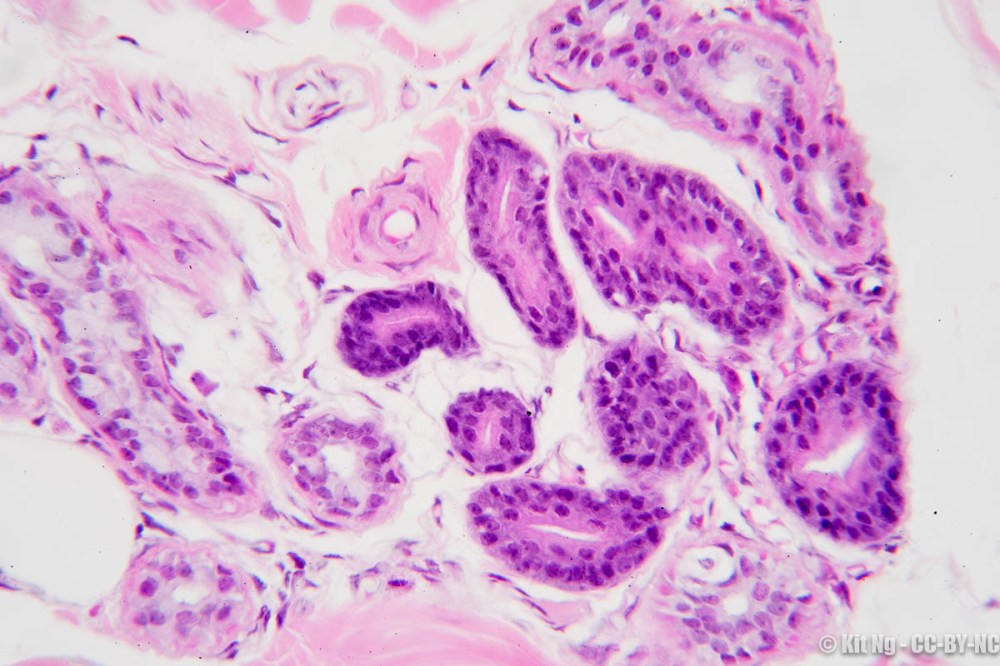 160810_untitled_4891-2