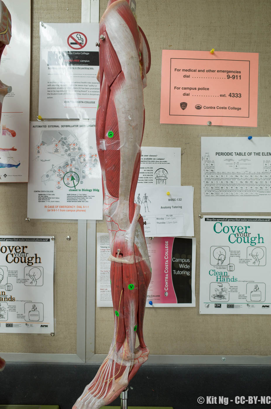 20161026_Random__R030077