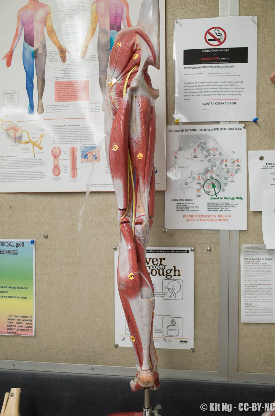 20161026_Random__R030078