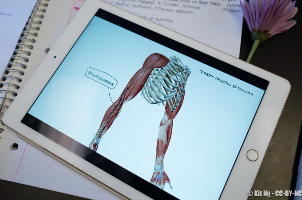 20180227_random_R010254