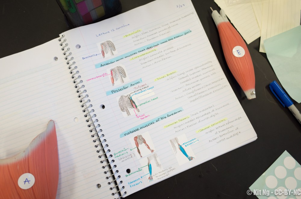 20180227_random_R010255